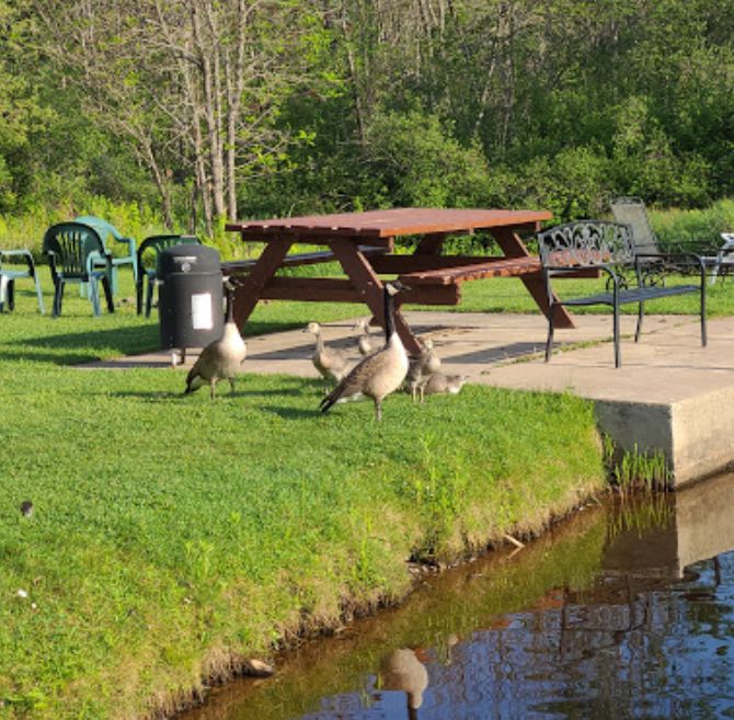 Michi-Aho Resort & Bait Shop - 2018 Street View (newer photo)